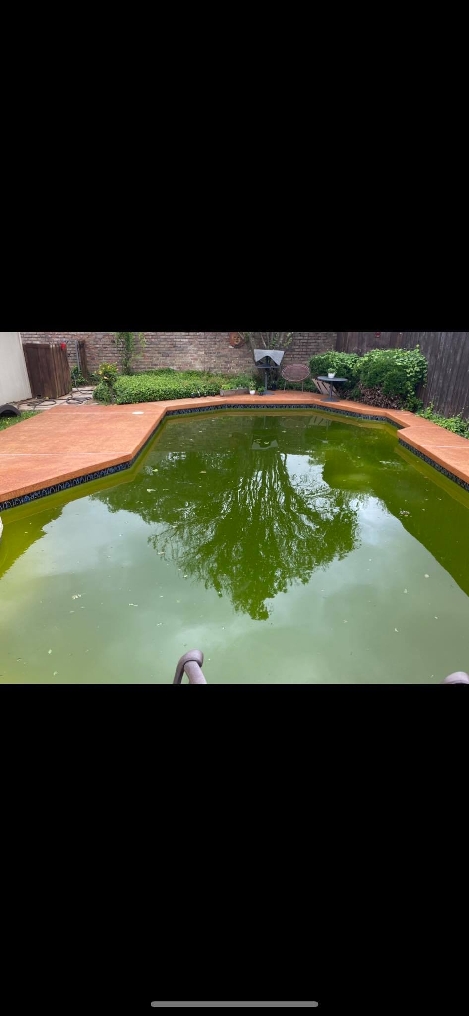 Murky pool before cleaning