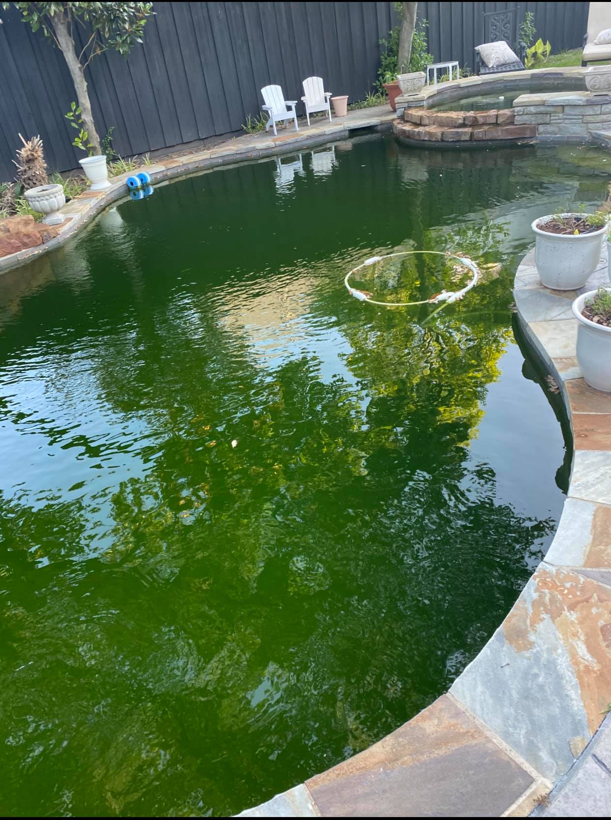 Neglected pool before service
